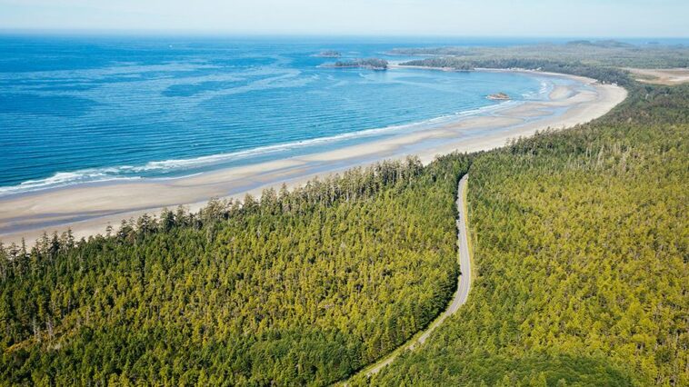 A breathtaking aerial perspective of Highway 4 / Pacific Rim Highway, winding through Pacific Rim National Park Reserve on the way to Tofino.