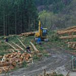 Timothy Holland, who was illegally logging the Great Bear Rainforest, received a greater fine after telling a government lawyer to "kiss my ass".