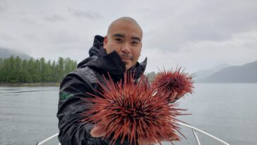 Douglas Neasloss holding two sea urchins.