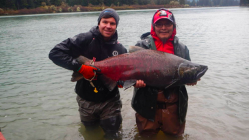 Massive salmon are frequently observed by residents living near Wannock River on B.C.'s central coast.