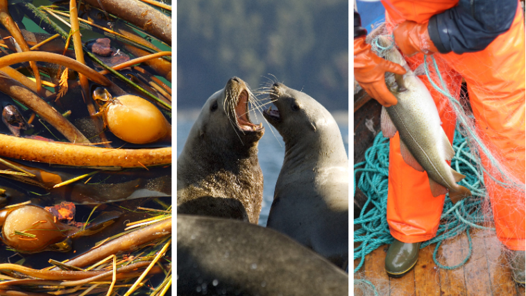 Stay tuned for West Coast Now coverage.