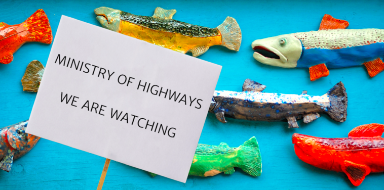 Dozens of protesters gathered near the Goldstream Campground on Tuesday to demonstrate against the proposed expansion of the Malahat Highway.