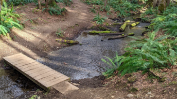 The conservation area of the Morrison Creek headwaters plays a significant role in a expanding network of protected areas focused on the eastern section of Comox Lake, the Puntledge River, and the K'omoks Estuary. Over the course of several decades, coordinated and persistent efforts have successfully safeguarded thousands of acres in this region.