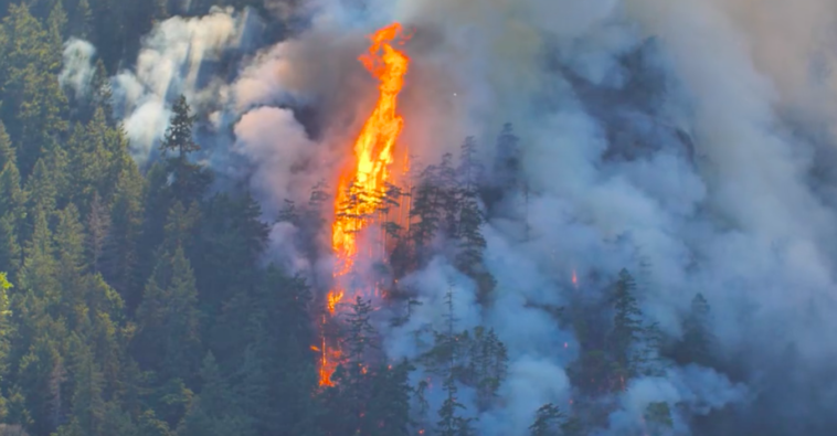 Among the 82 wildfires burning in British Columbia, the Cameron Bluffs wildfire is one of 33 categorized as being out of control. Since April 1, wildfires in the province have consumed over 520,000 hectares, surpassing the combined area burned during 16 of the previous 20 wildfire seasons. This alarming statistic was revealed by the emergency management minister.