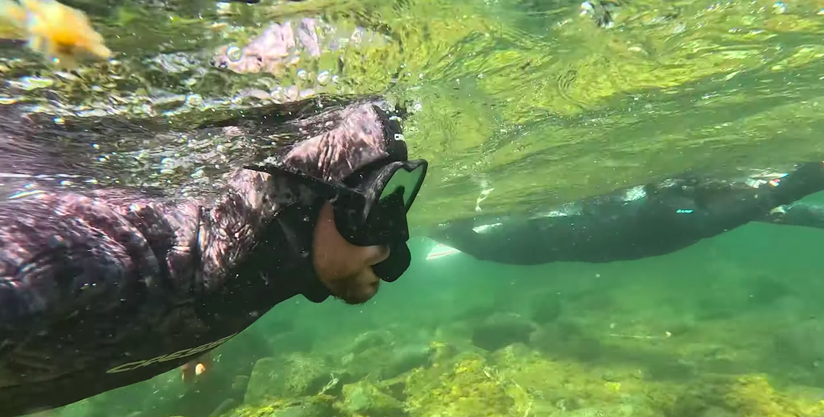 A snorkler in Campbell River