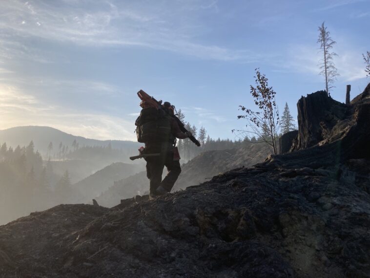 A man walking uphill with an axe on a landscape of chopped trees
