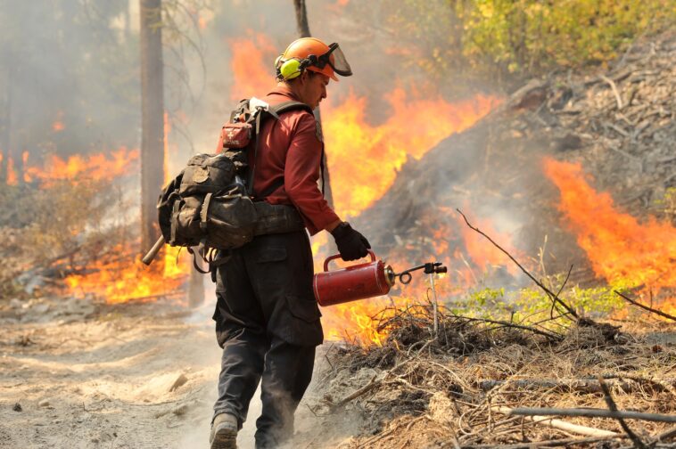 A BC Wildfire crew conducting a small-scale hand ignition on the south flank of the fire burning northwest of the Shannon Lake Golf Course.