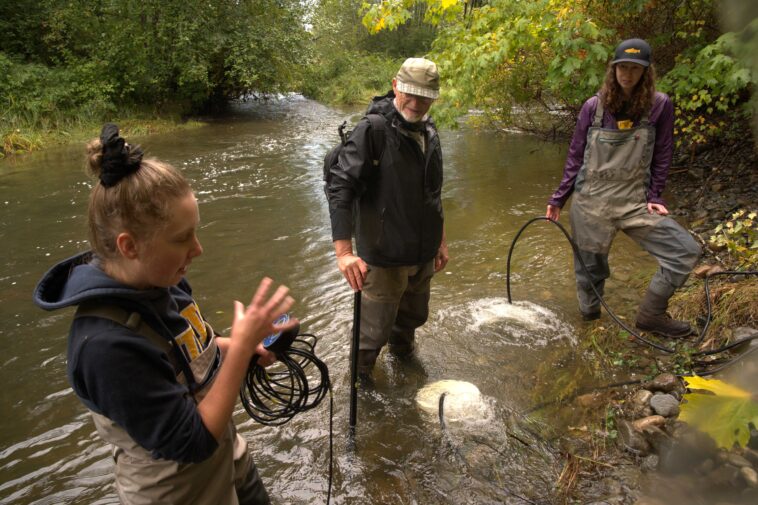 Katie Gair, Allan Chamberlain, and Jane Pendray at the Tsolum River