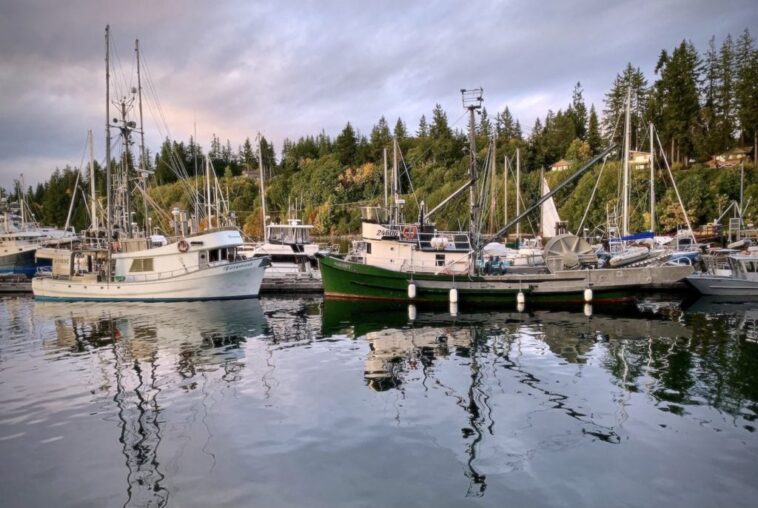 fishing boats in a bay in BC
