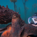 Octopus expert and diver Krystal Janicki, clad in scuba gear, poses next to a giant Pacific octopus while filming underwater
