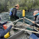 Volunteers lower a hydrophone into the water from a boat
