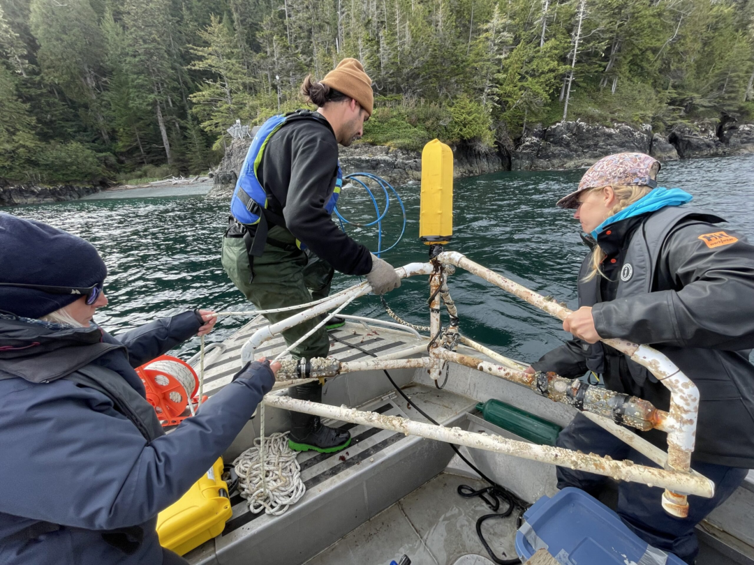 Volunteers lower a hydrophone into the water from a boat