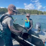 UBC Researchers studying impacts of catch-and-release methods in sports fishing.